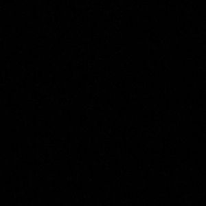 Meet your Posher, Zoey